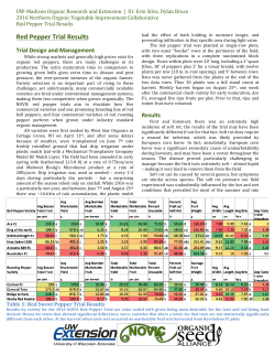 Sweet Red Roasting and Bell Peppers - Organic Agriculture