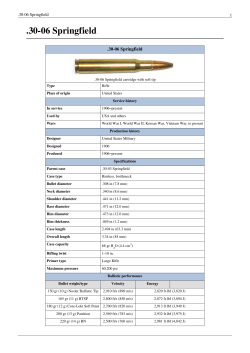 30-06 Springfield - Ammunition Store