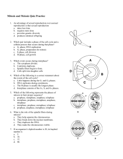 Mitosis and Meiosis Quiz Practice