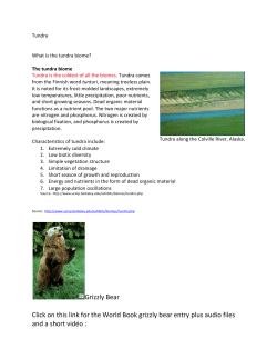 Grizzly Bear Click on this link for the World Book grizzly