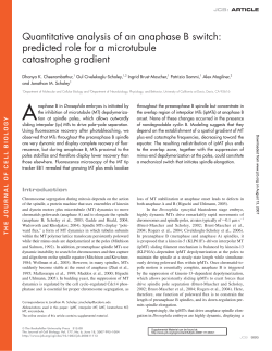 Quantitative analysis of an anaphase B switch
