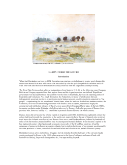 mart&iacute;n fierro the gaucho