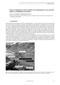 Pioneer communities in the forefields of retreating