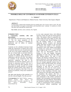 POSSIBLE ROLE OF CENTRIOLES AS SENSOR CENTER IN CELLS
