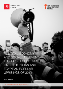 Political Economy and Social Movement Theory Perspectives