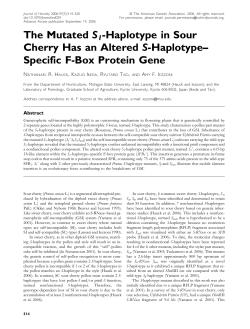 The Mutated S1-Haplotype in Sour Cherry Has an Altered S