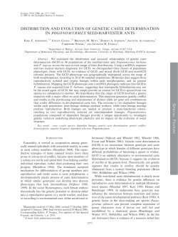 distribution and evolution of genetic caste determination in