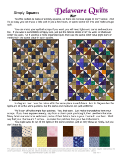Simply Squares - Delaware Quilts