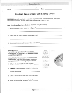 Cell energy cycles