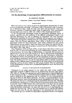 On the physiology of sporogonium differentiation in mosses