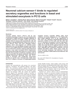 NCS-1 binds to regulated secretory organelles