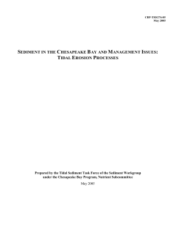 Tidal Erosion in the Chesapeake Bay