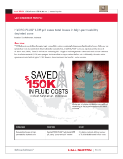 HYDRO-PLUG&reg; LCM pill cures total losses in high