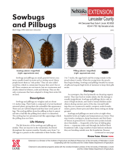 Sowbugs and Pillbugs - Nebraska Extension in Lancaster County