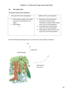 Modules 2, 3: Earth and No Space and Living World