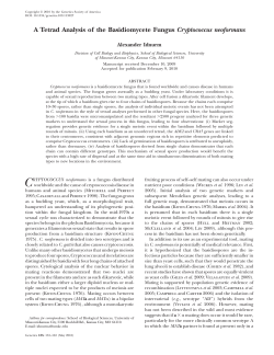 A Tetrad Analysis of the Basidiomycete Fungus