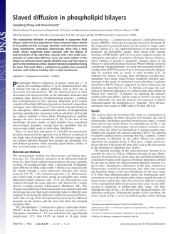 Slaved diffusion in phospholipid bilayers