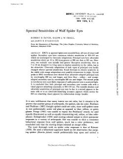 Spectral Sensitivities of Wolf Spider Eyes