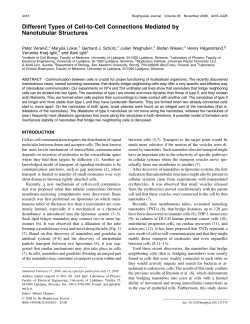 Different Types of Cell-to-Cell Connections Mediated by