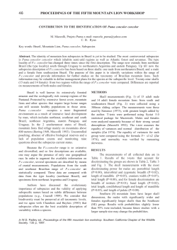 proceedings of the fifth mountain lion