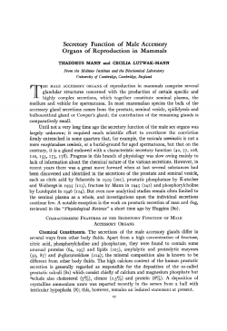 as a PDF