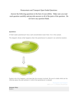Answers Homeostasis and Transport