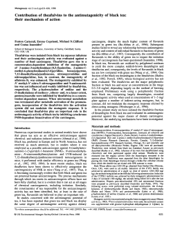 Contribution of theafulvins to the antimutagenicity of black tea: their
