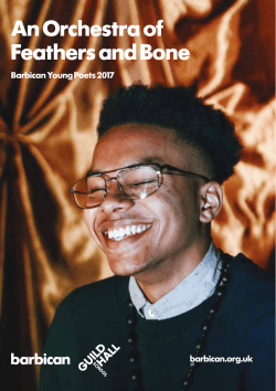 An Orchestra of Feathers and Bone