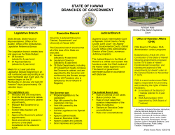 STATE OF HAWAII BRANCHES OF GOVERNMENT