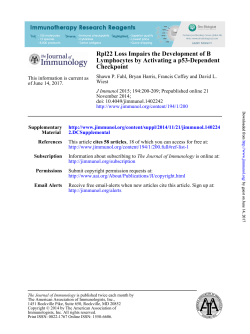 Rpl22 Loss Impairs the Development of B Lymphocytes by