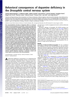 Behavioral consequences of dopamine deficiency in the Drosophila