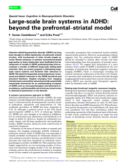Large-scale brain systems in ADHD: beyond the
