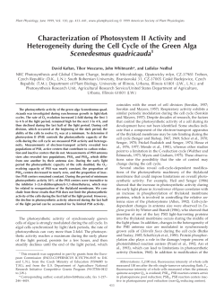 Characterization of Photosystem II Activity and Heterogeneity during