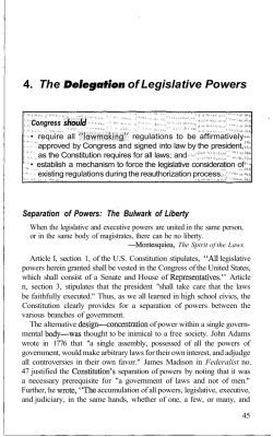 4. The Delegation of Legislative Powers