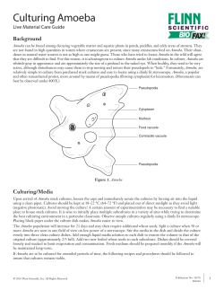 Culturing Amoeba - Flinn Scientific