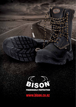 Argyle Bison Footwear Catalogue