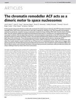 The chromatin remodeller ACF acts as a dimeric motor to space