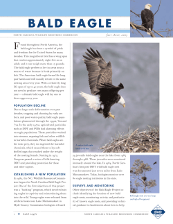 bald eagle - North Carolina Wildlife Resources Commission