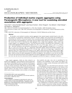 Production of individual marine organic aggregates using