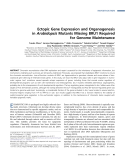 Ectopic Gene Expression and Organogenesis in