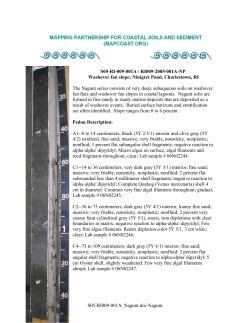 Pedon Description Report - Metric Units