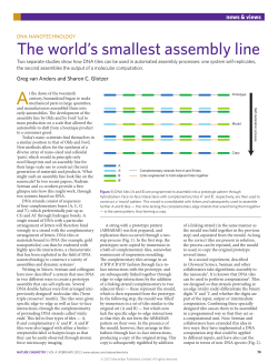 DNA nanotechnology: The world`s smallest assembly line