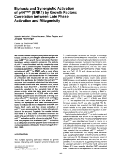 Biphasic and Synergistic Activation of p44mapk (ERKI) by Growth