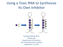 Using a Toxic RNA to Synthesize Its Own Inhibitor