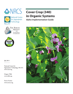 Cover Crop (340) in Organic Systems