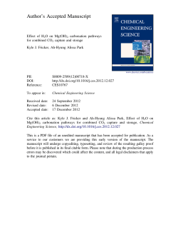 Effect of H2O on Mg(OH)2 carbonation pathways for combined CO2