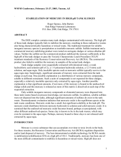 Stabilization of Mercury in High pH Tank Sludges