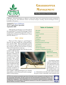 Grasshopper Management