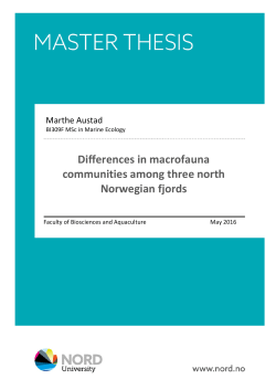 Differences in macrofauna communities among three