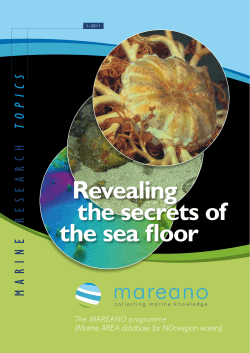 Revealing the secrets of the sea floor